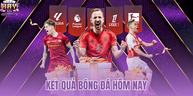 Kết Quả Bóng Đá Hôm Nay - Tỷ Số Thời Gian Thực HAYWIN 1 kết quả bóng đá hôm nay