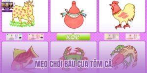 mẹo chơi bầu cua tôm cá