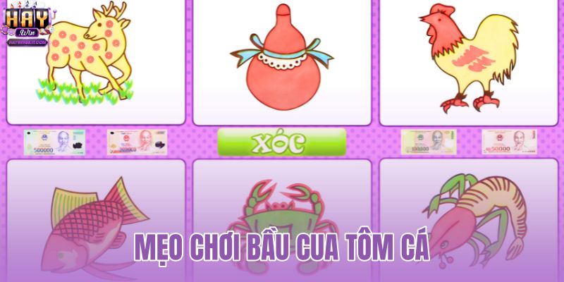 Mẹo Chơi Bầu Cua Tôm Cá - Tính Xác Suất Chuẩn Tại HAYWIN 3 mẹo chơi bầu cua tôm cá