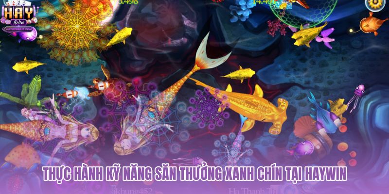 thuc-hanh-ky-nang-san-thuong-xanh-chin-tai-haywin thuc-hanh-ky-nang-san-thuong-xanh-chin-tai-haywin