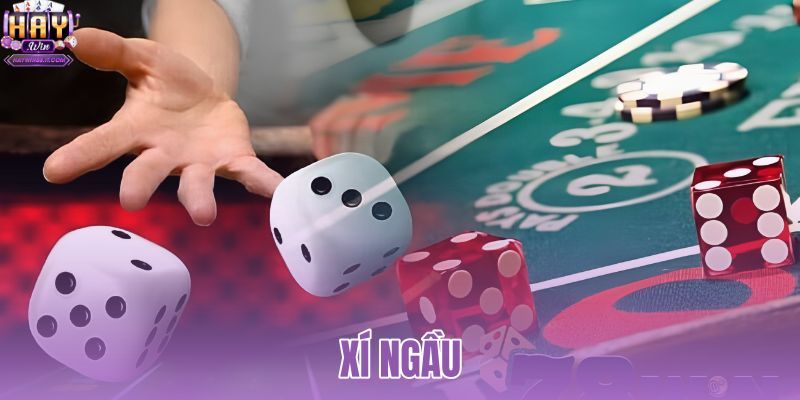 Lắc Xí Ngầu Online 3D Mượt Mà - Tung Xúc Xắc Miễn Phí 8 Xí Ngầu